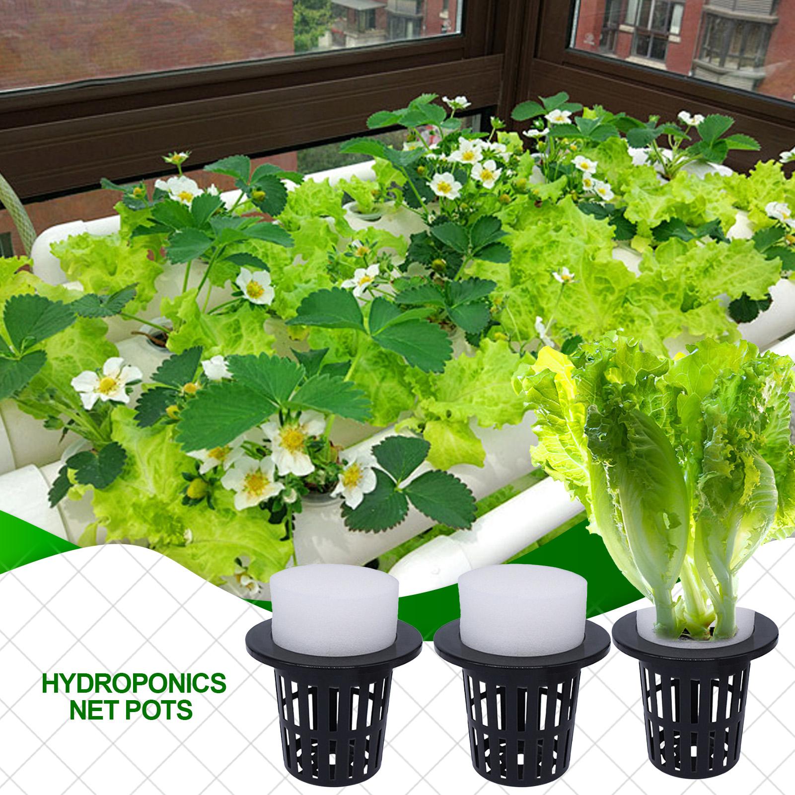 Net Pots For Hydroponics Hydro - Urban Farming Indoor บทวิจารณ์และราคา